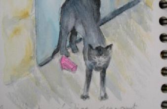 Un autre chat