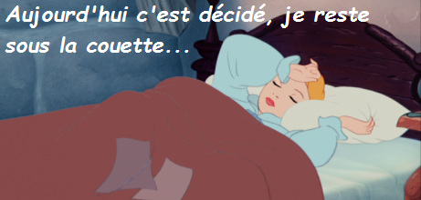 Bonne journée