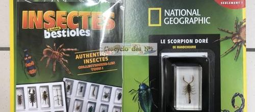 N° 1 Insectes & autres bestioles - Lancement