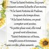Dictons et Fête du jour  + grille prénom !