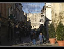Aigues Mortes intra-muros...