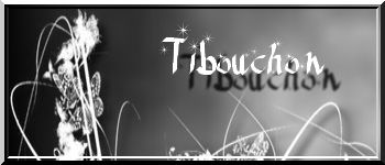 signature de janvier