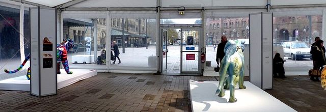 Metz / Tigres dans la ville - Zoo d'Amnéville...