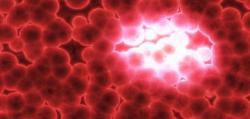 Cause du cancer : pourquoi le pH devrait-il nous concerner ?