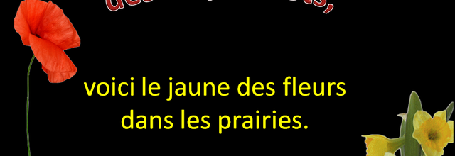 Voici du jaune........