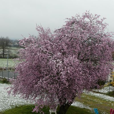 ALLIER ........................... et retour !