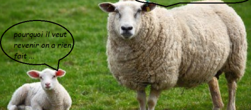 En revenir à ses moutons