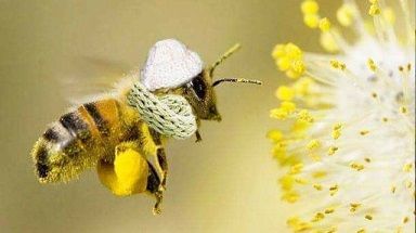 Mère Nature est parfois hostile ... 