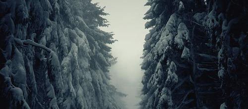 Froideur de l'hiver 