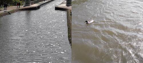 Séjour en C.C du 08 au 16 mai 21/ Pont canal de Briare (45)