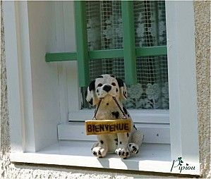 Le défi pigeon vole et le faucon