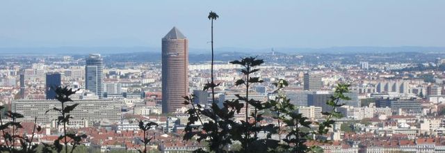 Lyon au mois d'août.