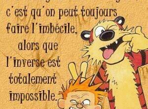 L'avantage d'être intelligent ...