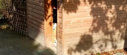Chat Village d'Automne (suite)