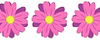  1068 - Fleurs en pot - Printemps -