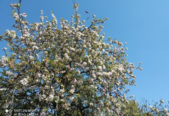 mes photos au smartphone