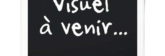 SEE SEE RIDER ou 'CC Rider 