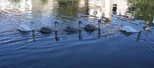 Ma photo préférée du 27 octobre