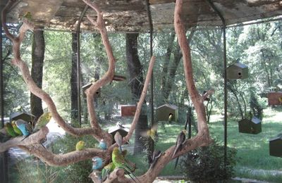Zoo