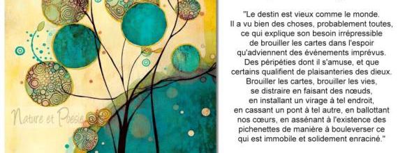 La pensée du jour (155)