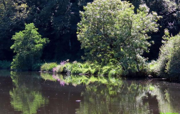 défi reflets d'Annie