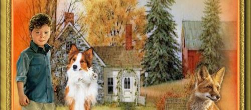 Superbe chien .