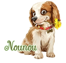 signature garçon lettre N