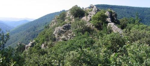 Chemin d'Arles 2008 - Saint Gervais sur Mare (26km)