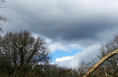 Sur les pas de Georges Cadoudal à Locoal-Mendon (Morbihan) - 1