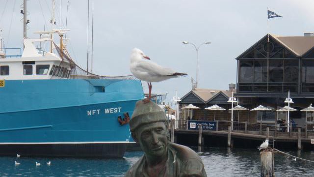 LE PORT DE PECHE DE FREMANTLE