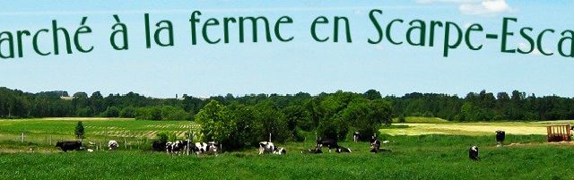 Les marchés à la ferme
