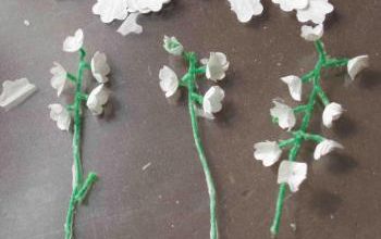 Le muguet est en fleurs!