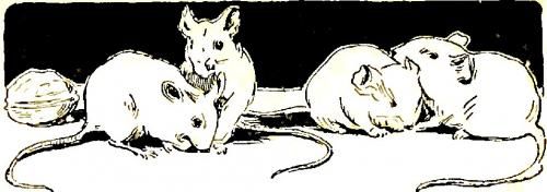 La bonne petite souris
