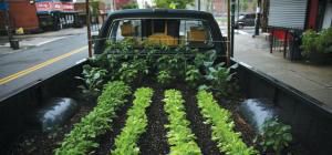AGRICULTURE – Cultiver la dignité - E&E