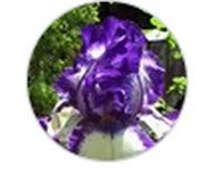 Le jardin de Cathline