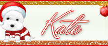 signature,noel,signatureanimee