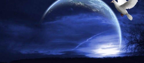 Nuit paisible à tous