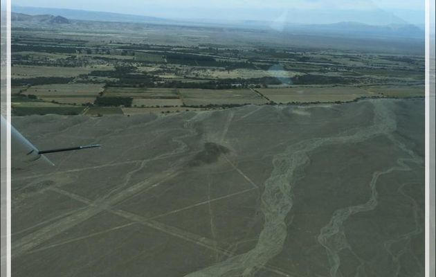 Géoglyphe "La Baleine" - Nazca - Pérou