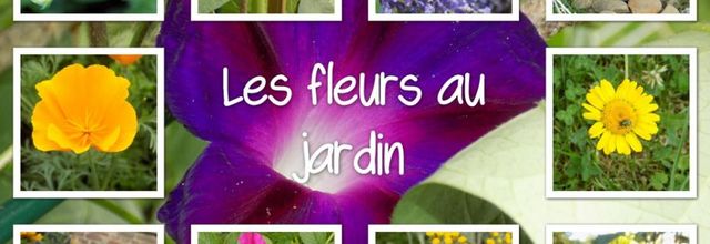 Jardin coloré