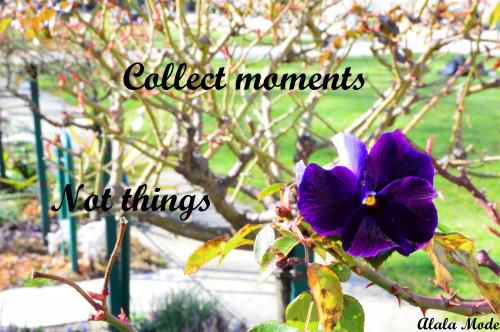 Collect moments not things #8