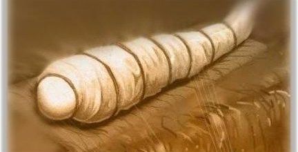 "Après la Mort en attendant le Jour du Jugement"