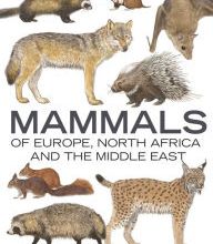 Book downloads for free kindle Mammals of Europe, North Africa and the Middle East (English Edition) 9781472960993