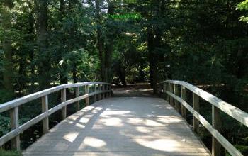 PROMENADE  A WASSENAAR....