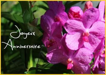 * Heureux anniversaire à  Marcel BARBARY ancien de la 1ère DFL pour ses 105 ans