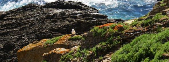 Groix