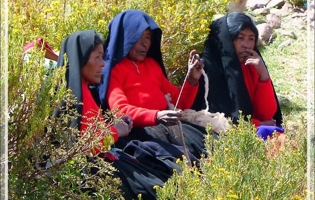 Un peu de repos au milieu de fleurs sauvages - Île Taquile - Lac Titicaca - Pérou