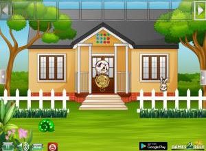 Pet dog friends escape soluce