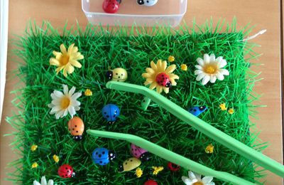 Motricité fine : déposer les coccinelles dans le jardin