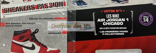 N° 1 Sneakers passion - Test 