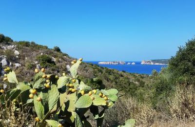 De PYLOS à METHONI
